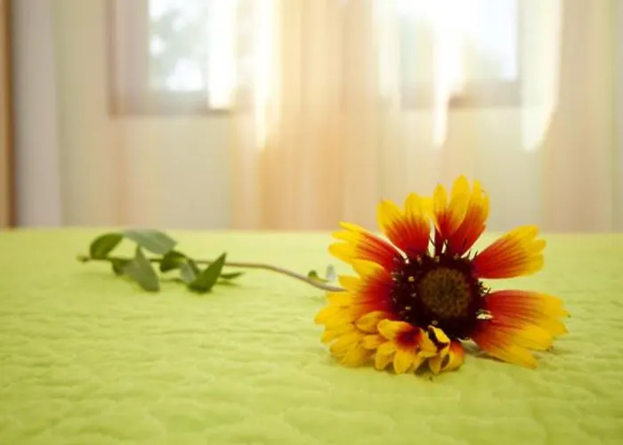 بيت ضيافة Burela